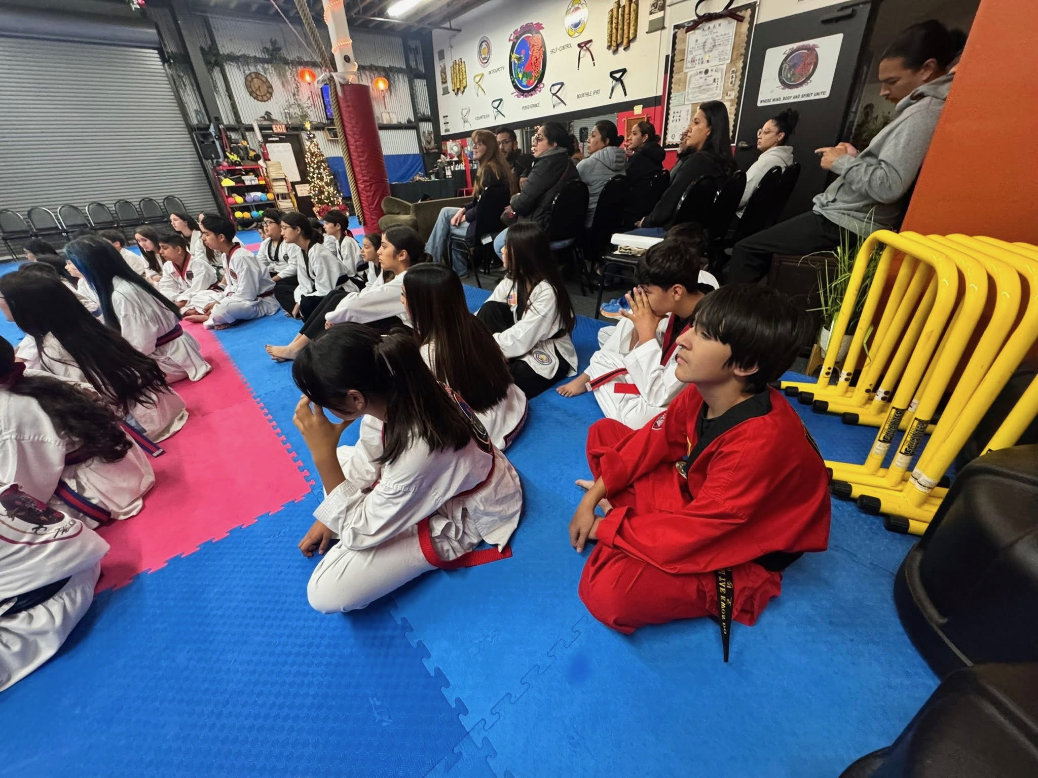 Taekwondo student