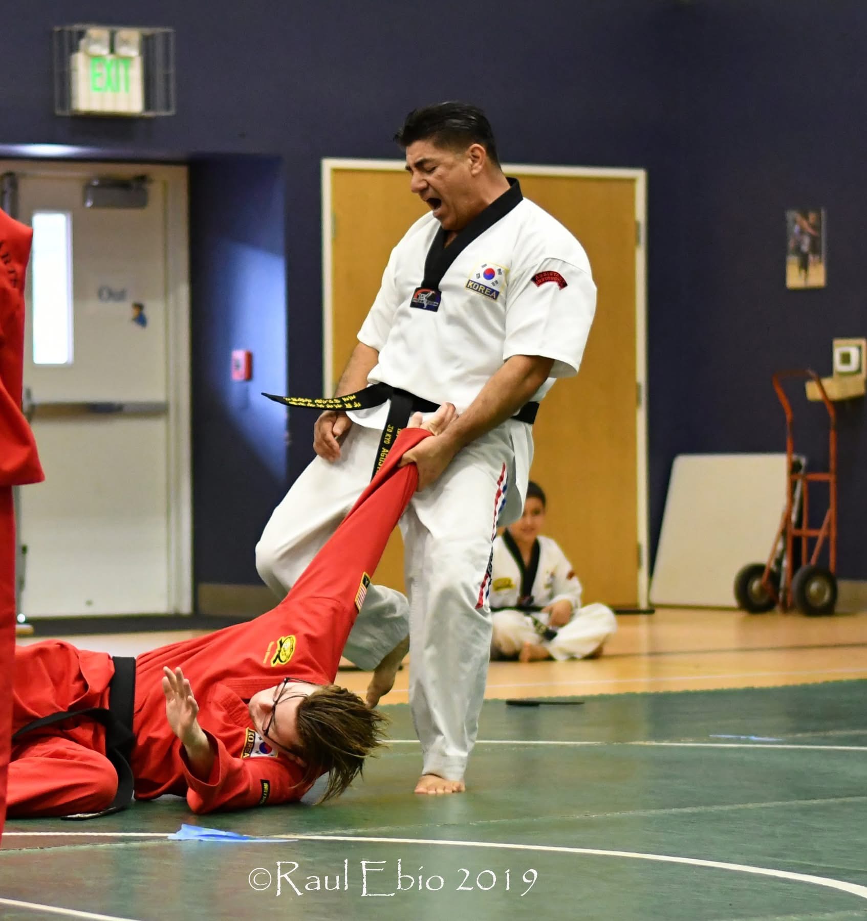 Taekwondo action