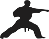 Students practicing Taekwondo techniques