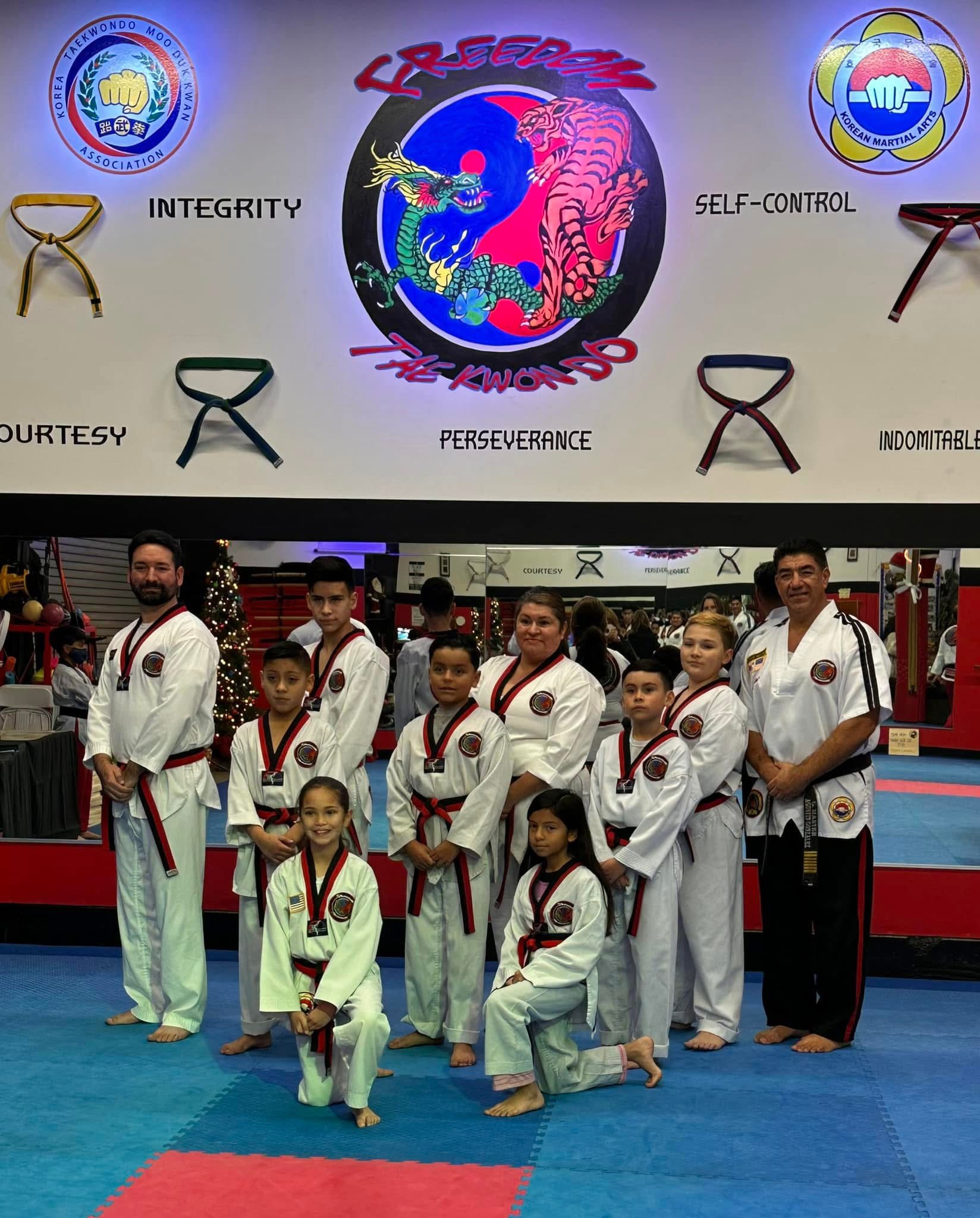 Taekwondo practice